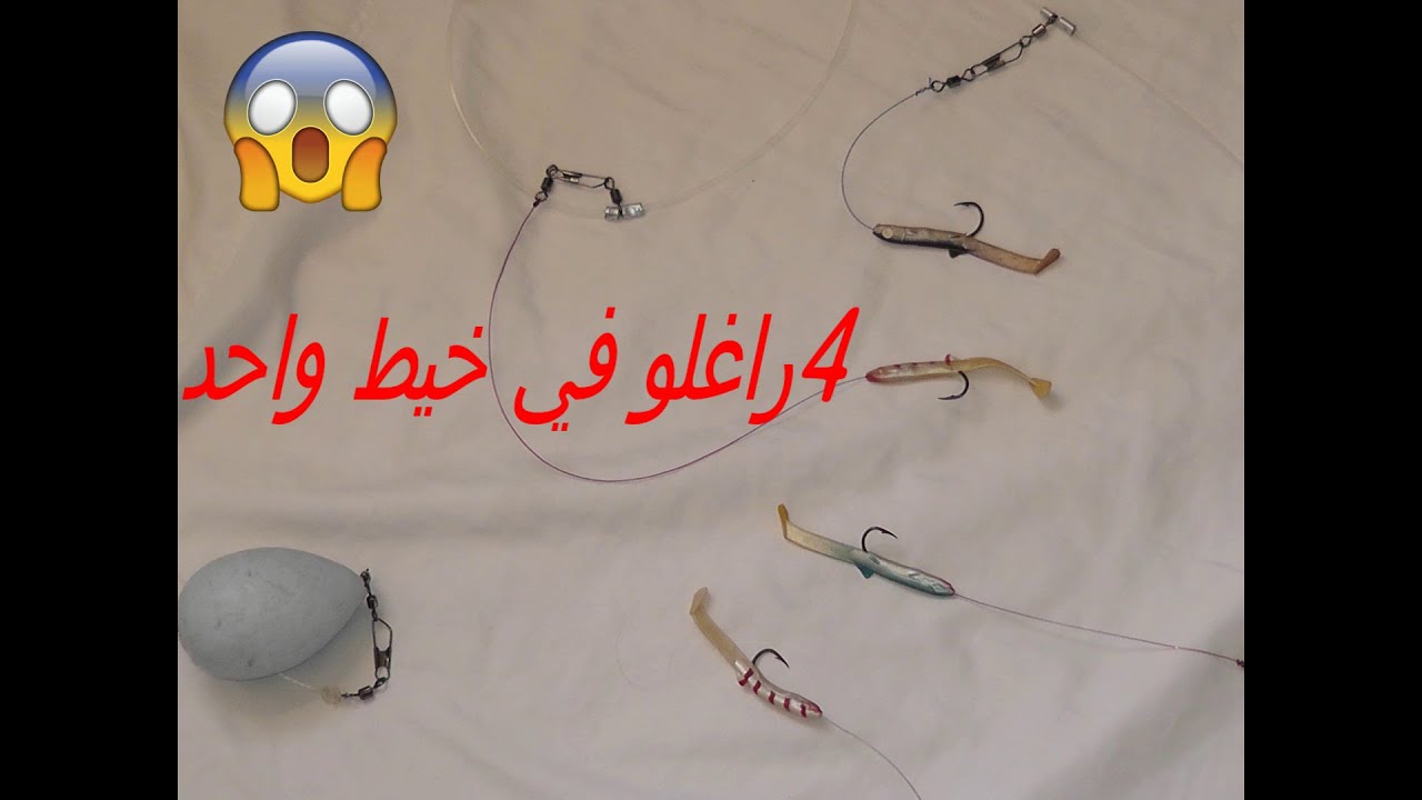 4 راغلو في خيط واحد الدرس زقم 91...….  - اهلها لصيد السمك - sea fishing 🎣