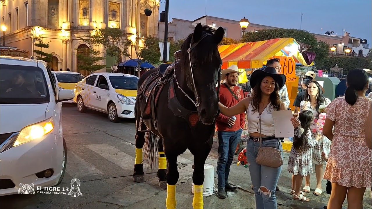Que chulada de carnaval jalos 2025 🐅
