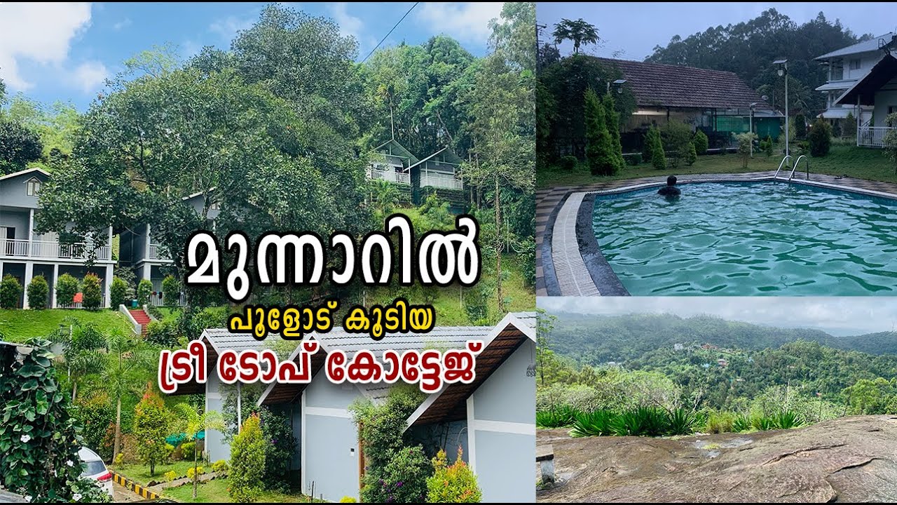Tree Top Cottage In Munnar | Pool view Resort In Munnar | വെറും 2500 രൂപക്ക് മുന്നാറിൽ താമസിക്കാം.