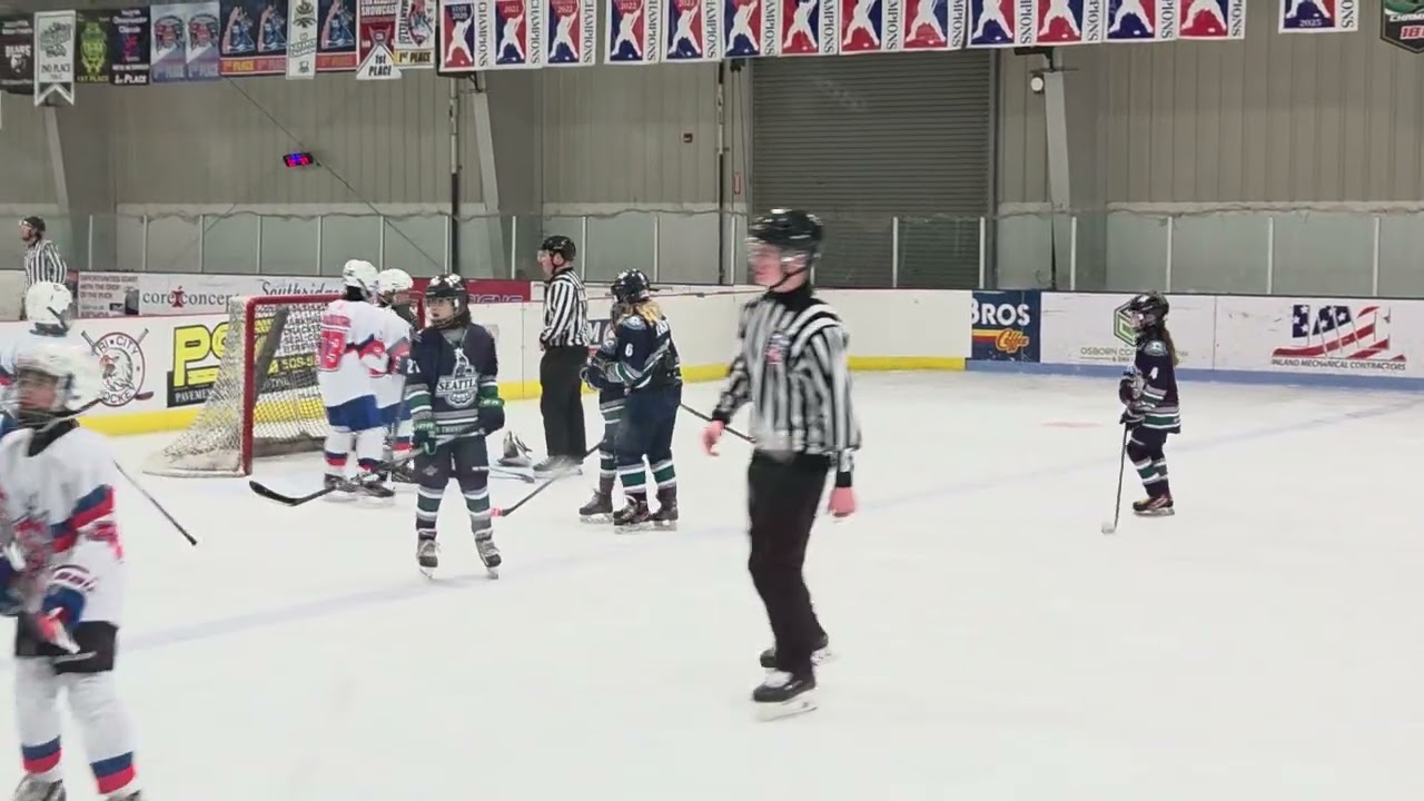 Wa State Tournament  - Game 2. SK 10UGirls B Team vs Seattle Jr. Mets  Coed - 2nd Period