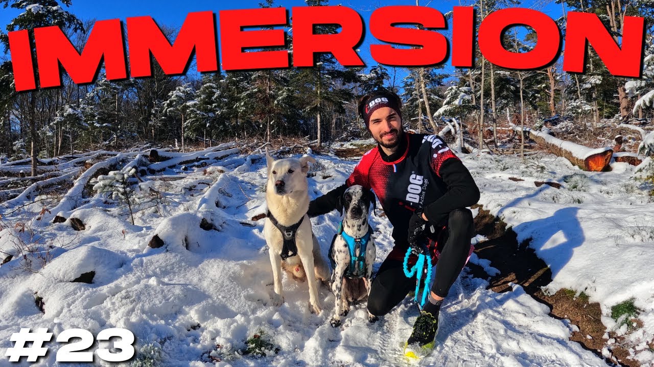 IMMERSION #23 - CANITRAIL DANS LA NEIGE !