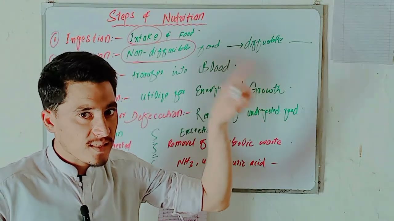    Lacture no 1st   in chapter Digestion. Steps of nutrition. Topic steps of nutrition. 