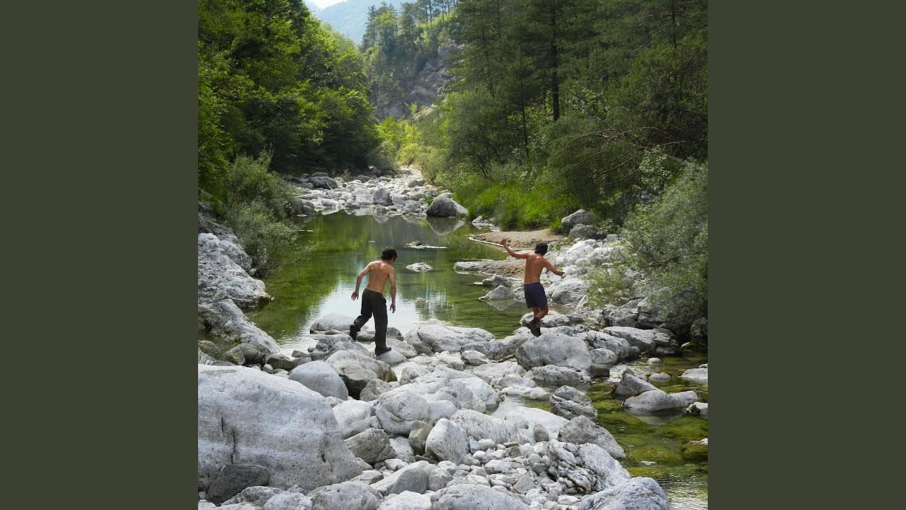 Colpi di tosse
