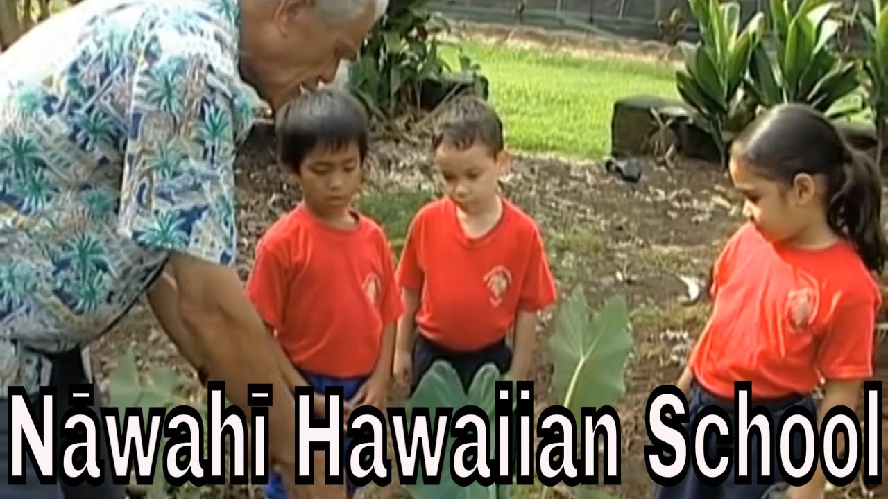 Discovering Nāwahī - A Hawaiian Language Journey