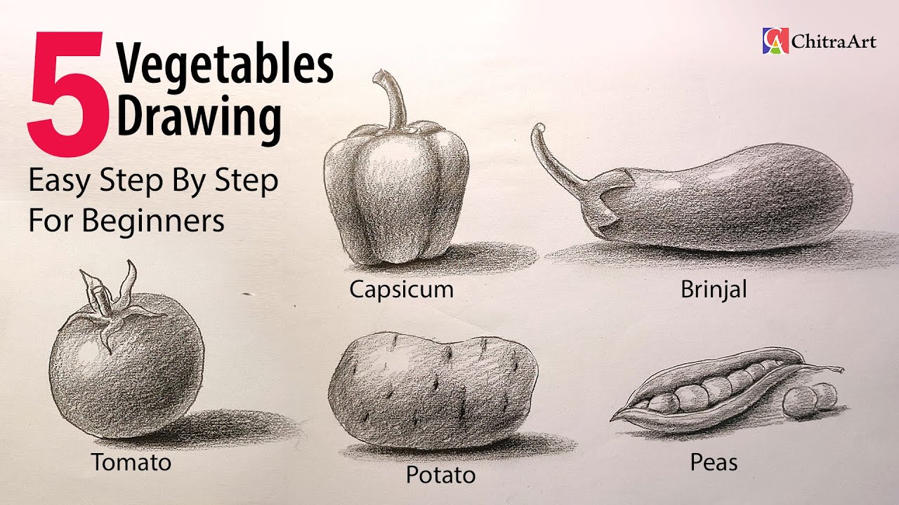 5 Vegetables Drawing for School Projects | How To Draw 3D Capsicum, Brinjal, Tomato, Potato, Peas.