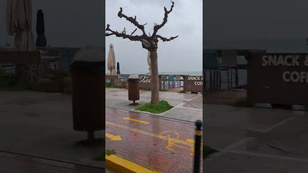🇨🇦 Kalamata Greece🇬🇷🇫🇷 Kalamata Grèce🇬🇷🇮🇹 Kalamata Gr 🇩🇪 Kalamata Griechenland🇬🇷🇮🇳 Kalamata ग्रीस 🇬🇷