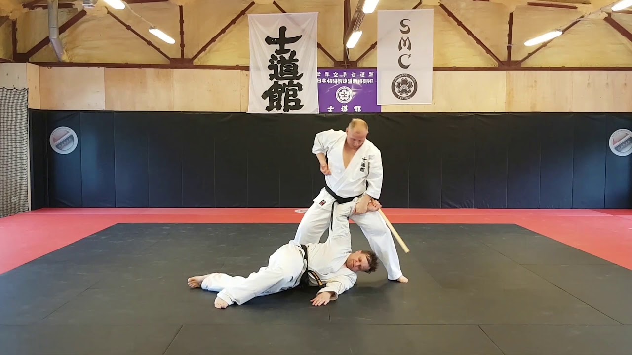 Shidokan Karate Techniques | Pinan Sono Ni | Kata & Bunkai