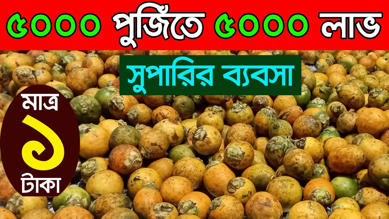 ১ টাকায় সুপারি নিয়ে ব্যবসা করুন। দিগুন লাভের ব্যবসা। ব্যবসার আইডিয়া। Business Ideas
