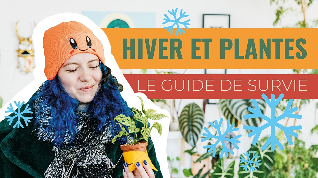 🪴Comment s'occuper des plantes d'intérieur en hiver ? 🥶