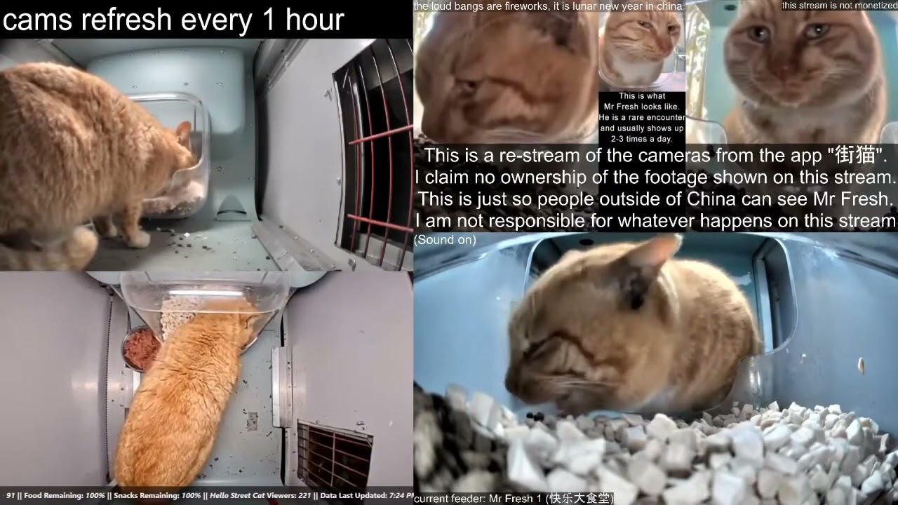 Mr Fresh capturing Feb 20th