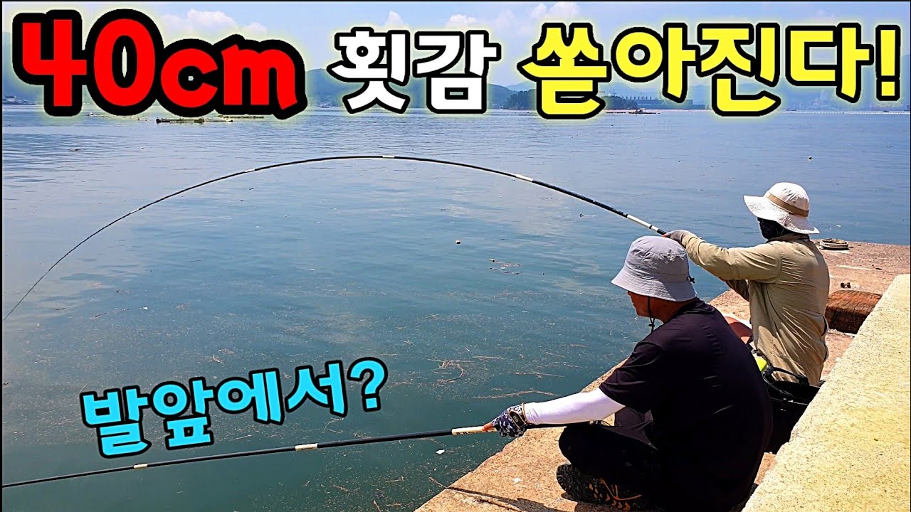 이렇게 쉽게? 발앞에서 묵직한 녀석들이 계속나온다!? 회로 맛잇게 먹어보자! 민장대낚시 레전드 자급자족 여행