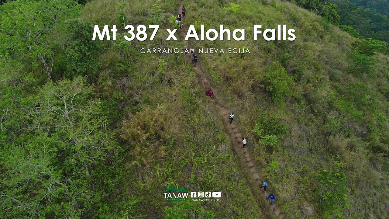 Mt 387 x Aloha Falls Event Highlight | June 6, 2025
