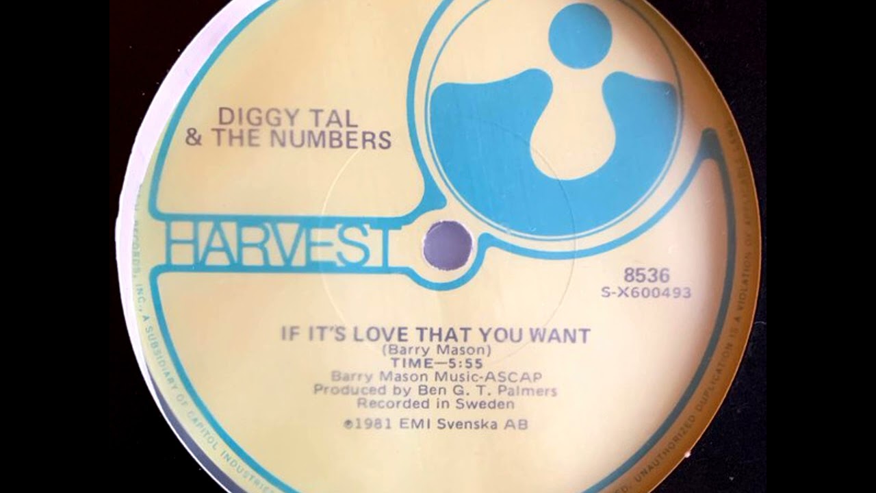 Diggy Tal & The Numbers - If It's Love That You Want
