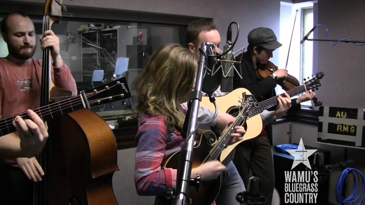 Sierra Hull - Best Buy  [Live at WAMU's Bluegrass Country]