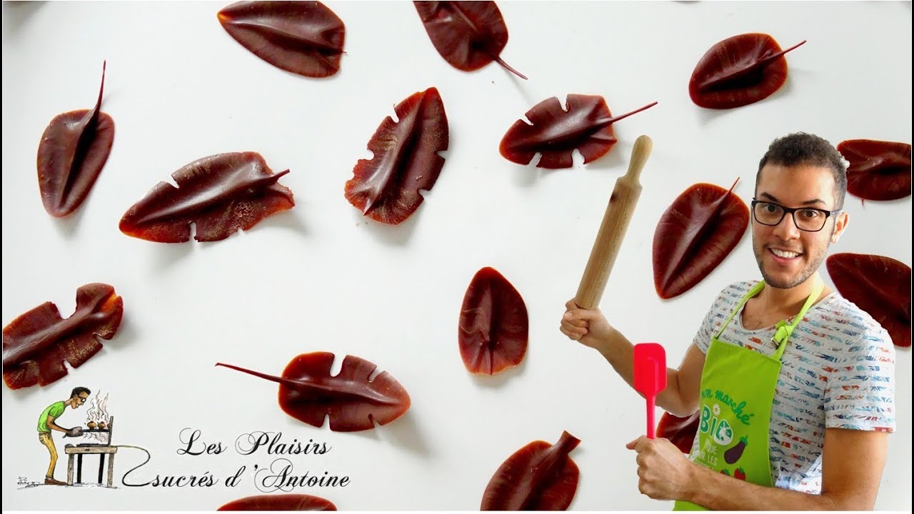 Les feuilles en chocolat [TUTO]