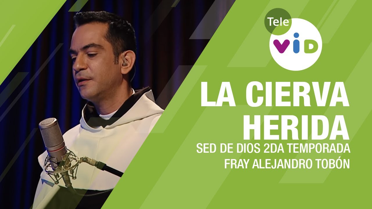 La Cierva Herida, Fray Alejandro Tobón 🙏🏻 Sed de Dios, Capitulo 1, Temp. 2 - Tele VID
