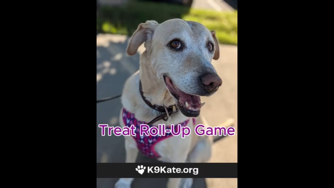 Treat Roll-Up Game