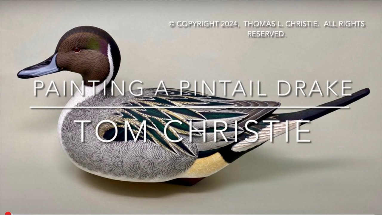 Pintail Drake Decoy Painting Video