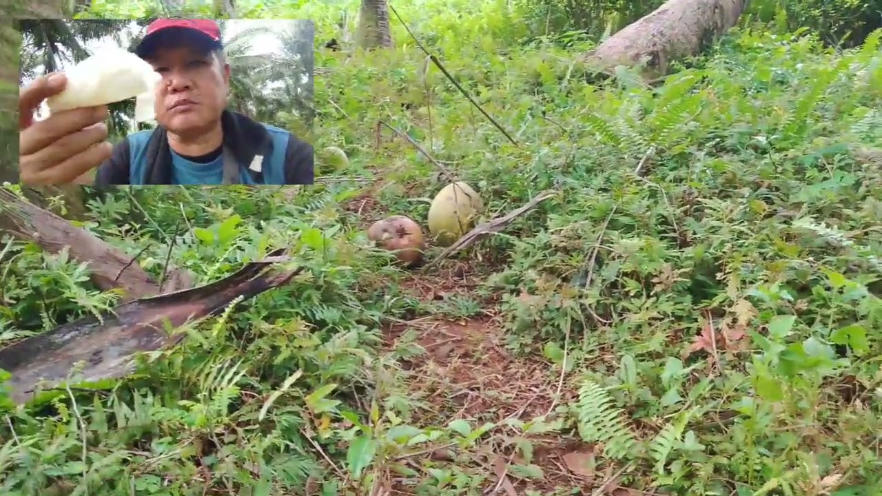 Meryenda Muna Tayo Ng buko mga sangkay,
