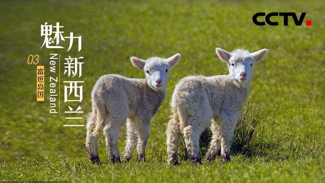 《魅力新西兰》第三集 富庶岛国 | CCTV纪录