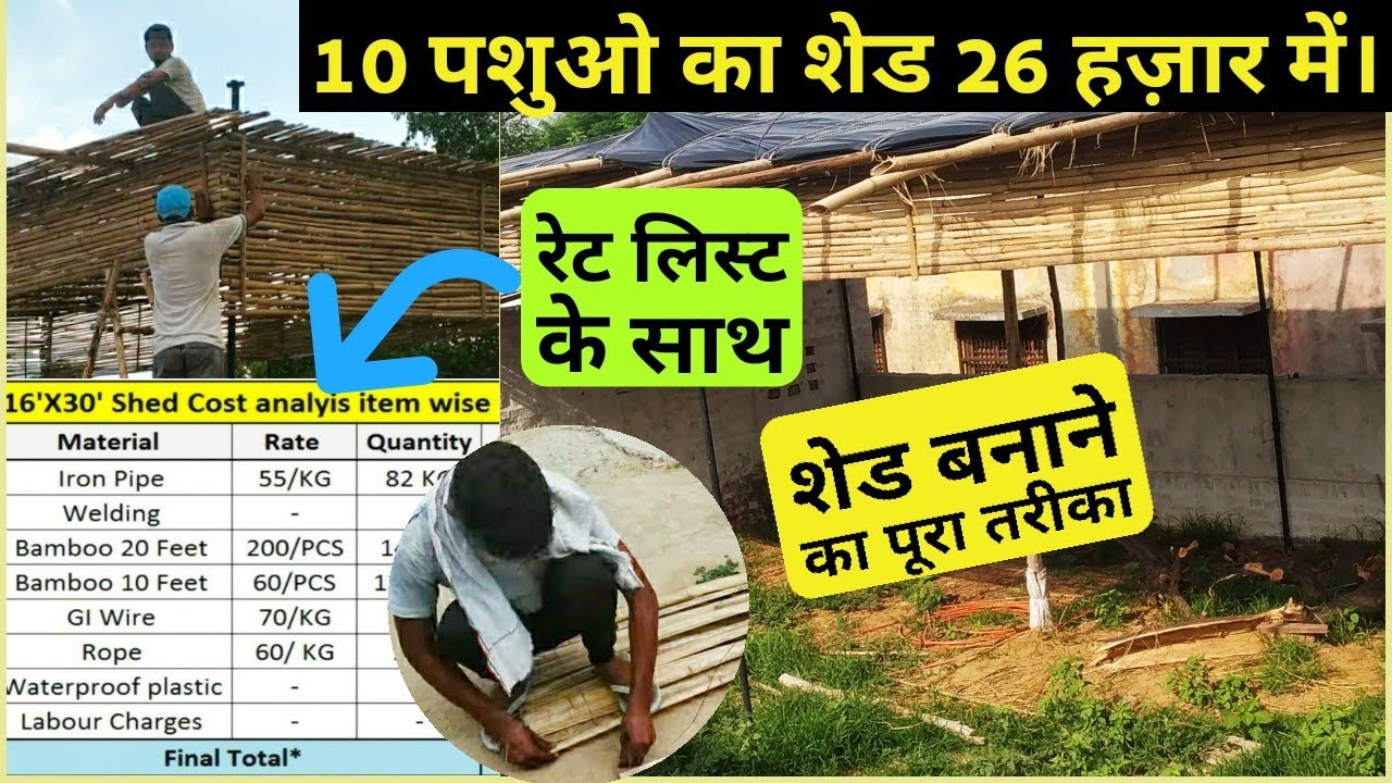 आओ सीखे गाय भैस के लिये शेड बनाना, पशु शेड की वीडियो बहुत देखी होंगी पर ऐसी नहीं