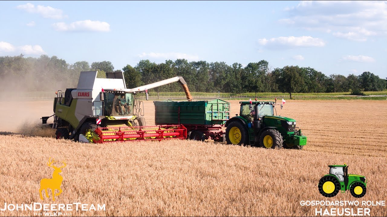 Żniwa 2024 z nowym nabytkiem - Claas Trion 530 - GR Haeusler
