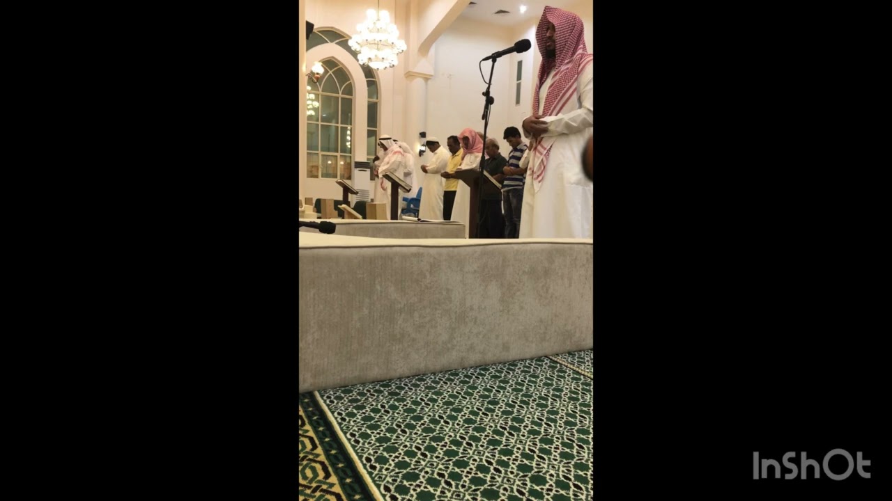 @-mzamerhajer2942
