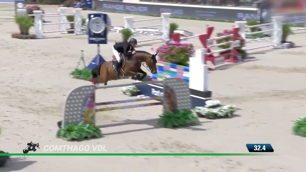 Comthago VDL (Comme IL Faut x Carthago Z x Caretino)