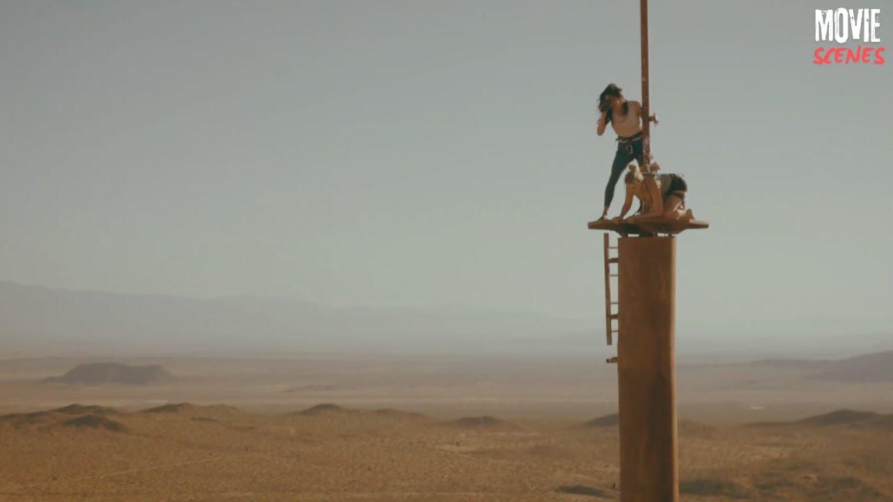Fall (2022) - Signal Scene