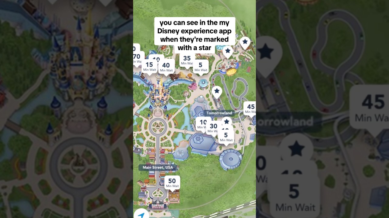 Must Know Skip The Wait Hack For Disney | Disney Ride Tips #disneyworld #disneyland
