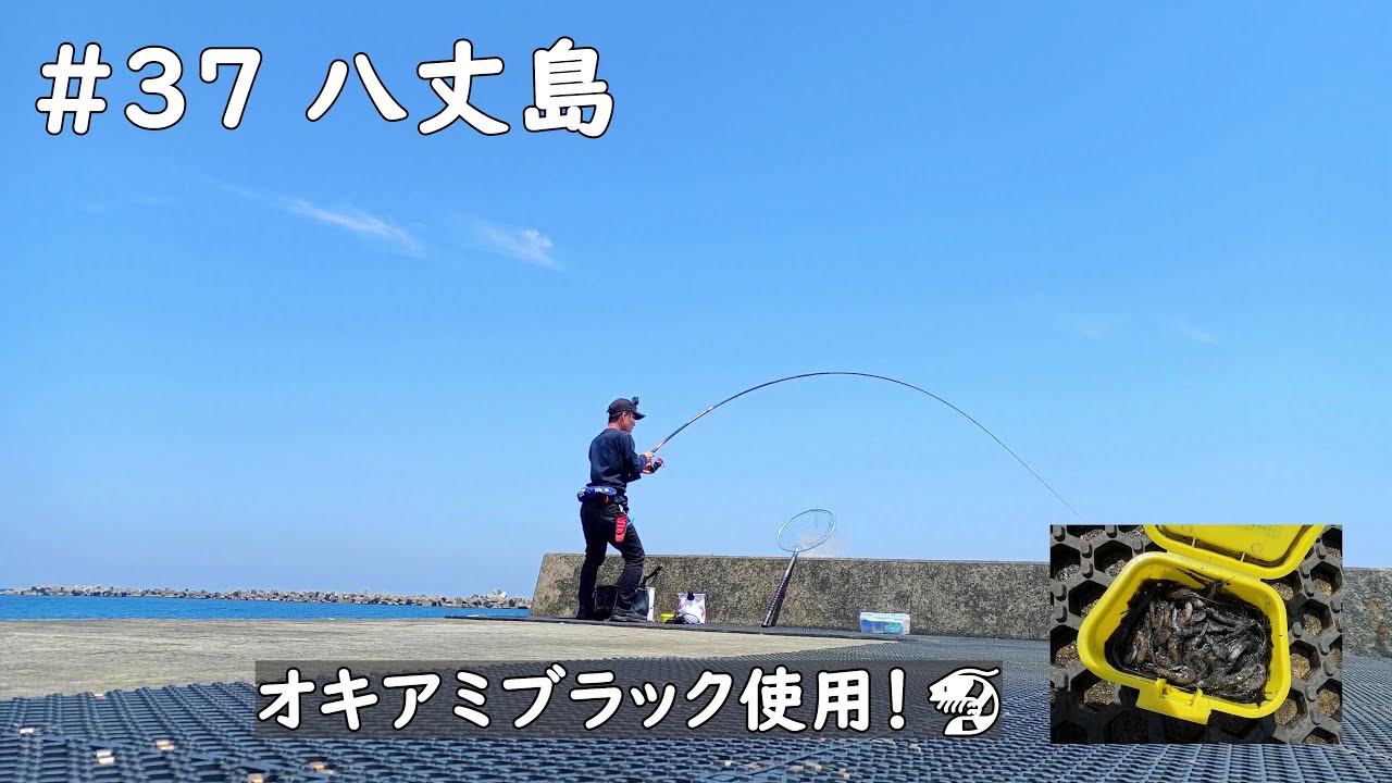 #37 八丈島の堤防が、ある巨大魚の巣窟となっていた。｜4K動画