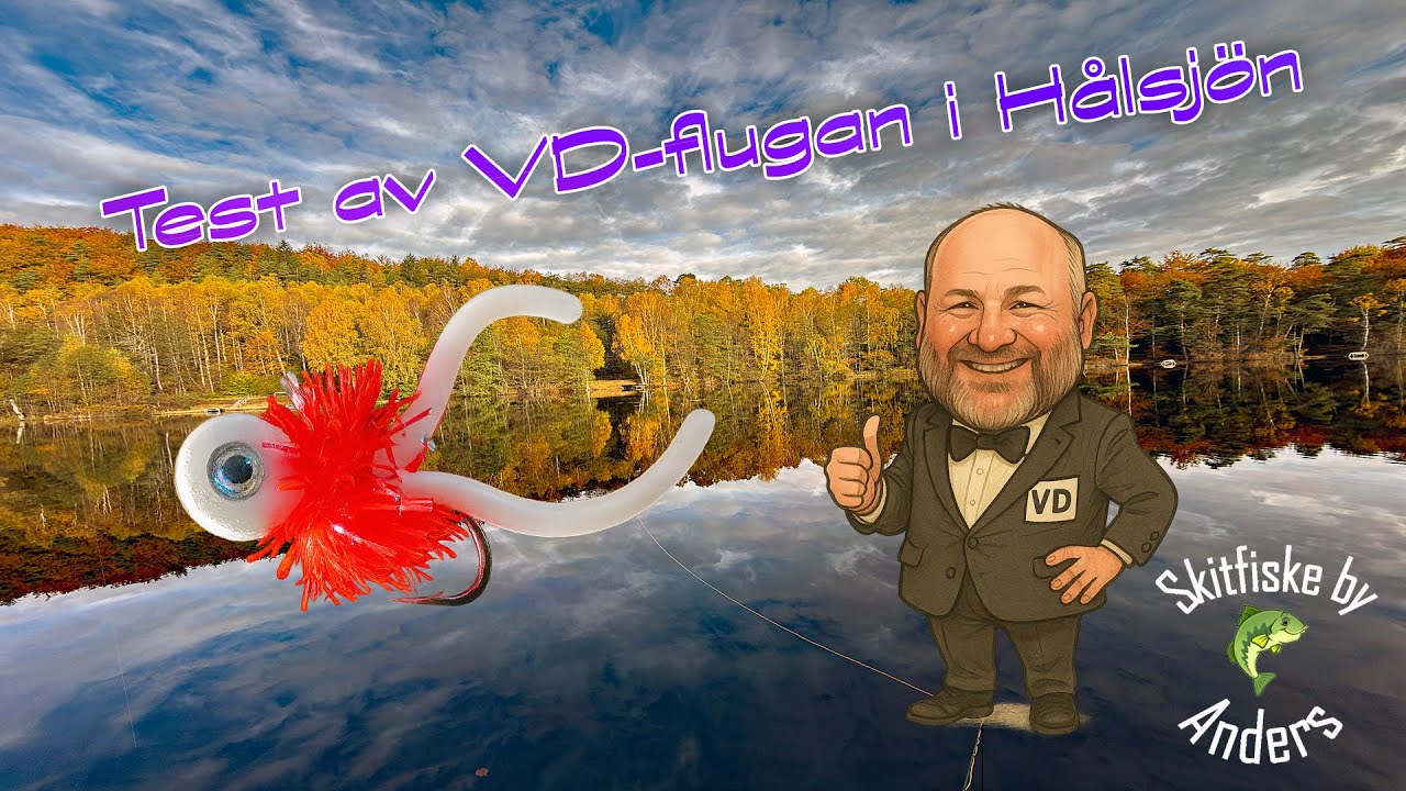 🎣 VD-flugan levererar! Test i Hålsjön – regnbåge hugger direkt!
