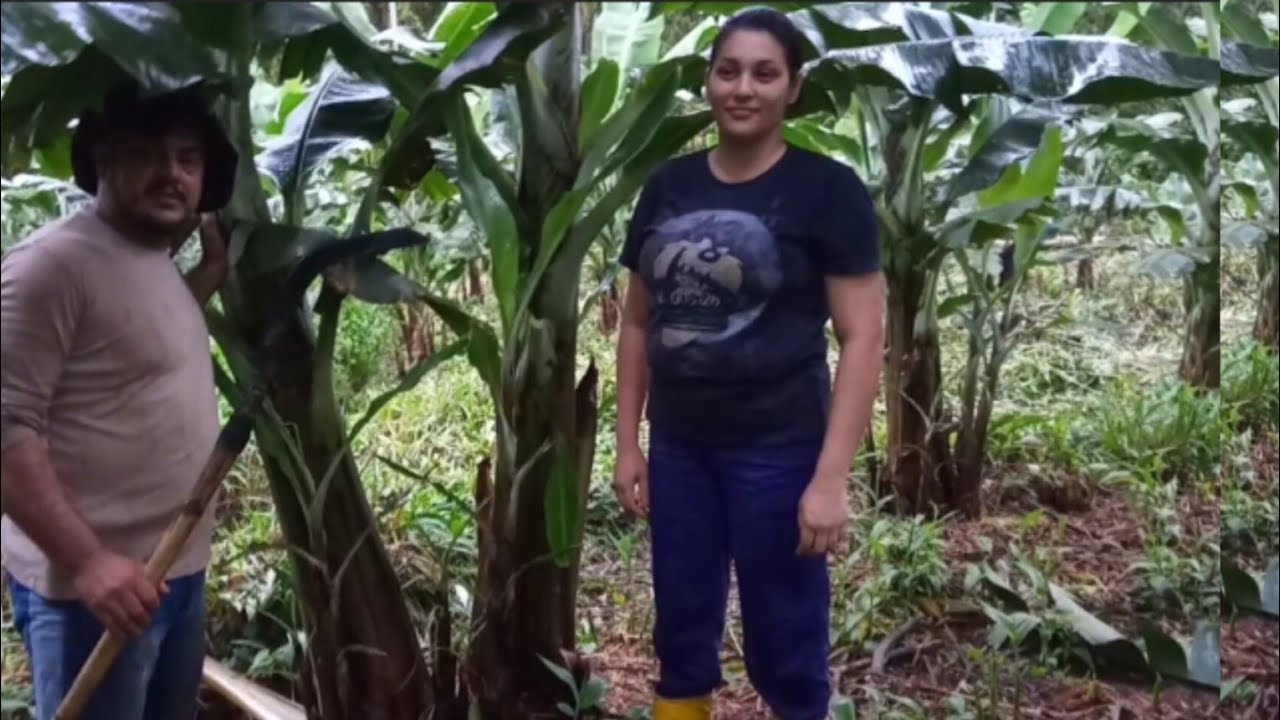 vejam o bananal dessa mulher de alto nível e assim