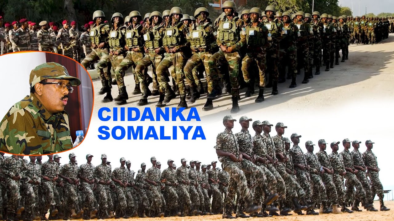 Daawo Muuqaal ka Turjumaya Tayada Ciidamada Xooga Dalka Soomaaliya !