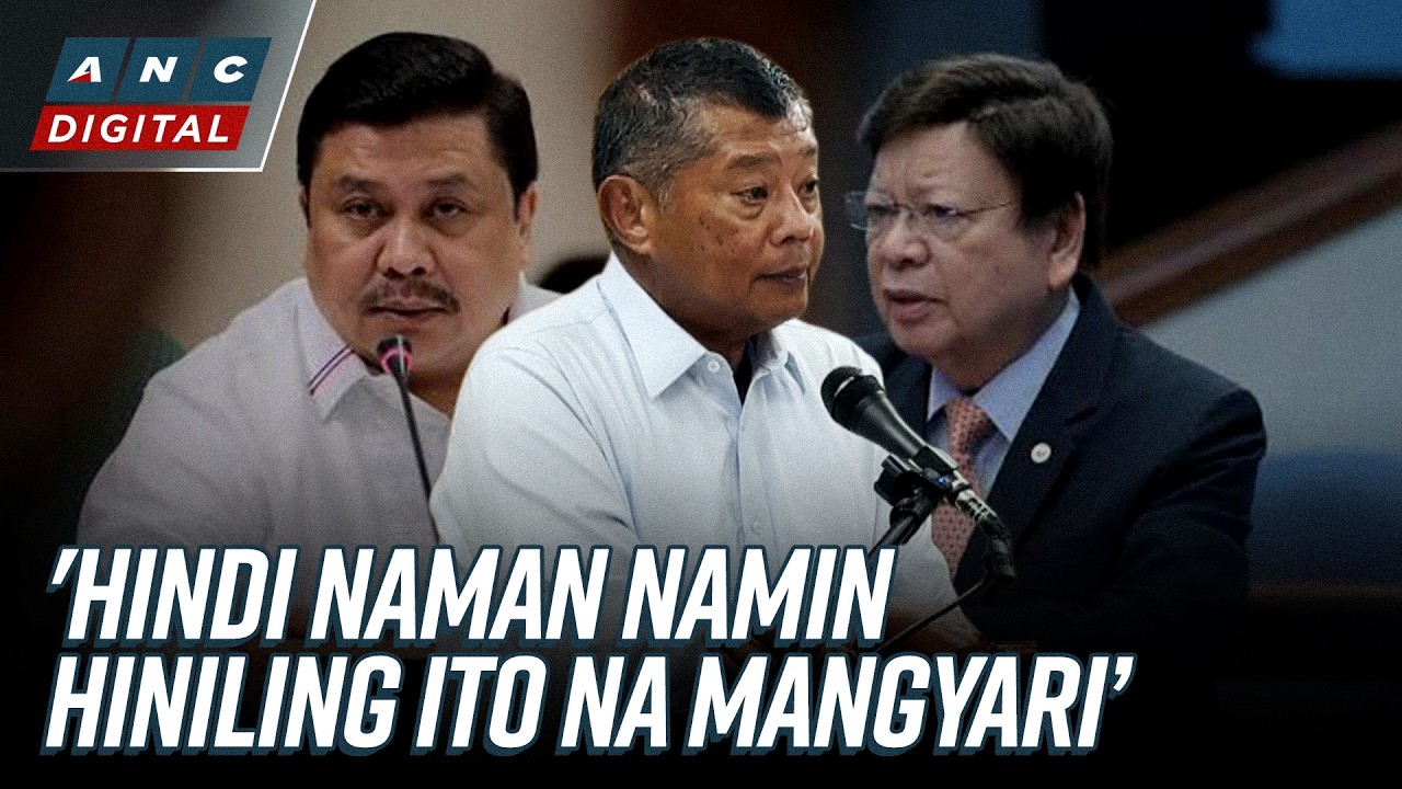 Ombudsman denies targeting Senate minority bloc with cases | ANC