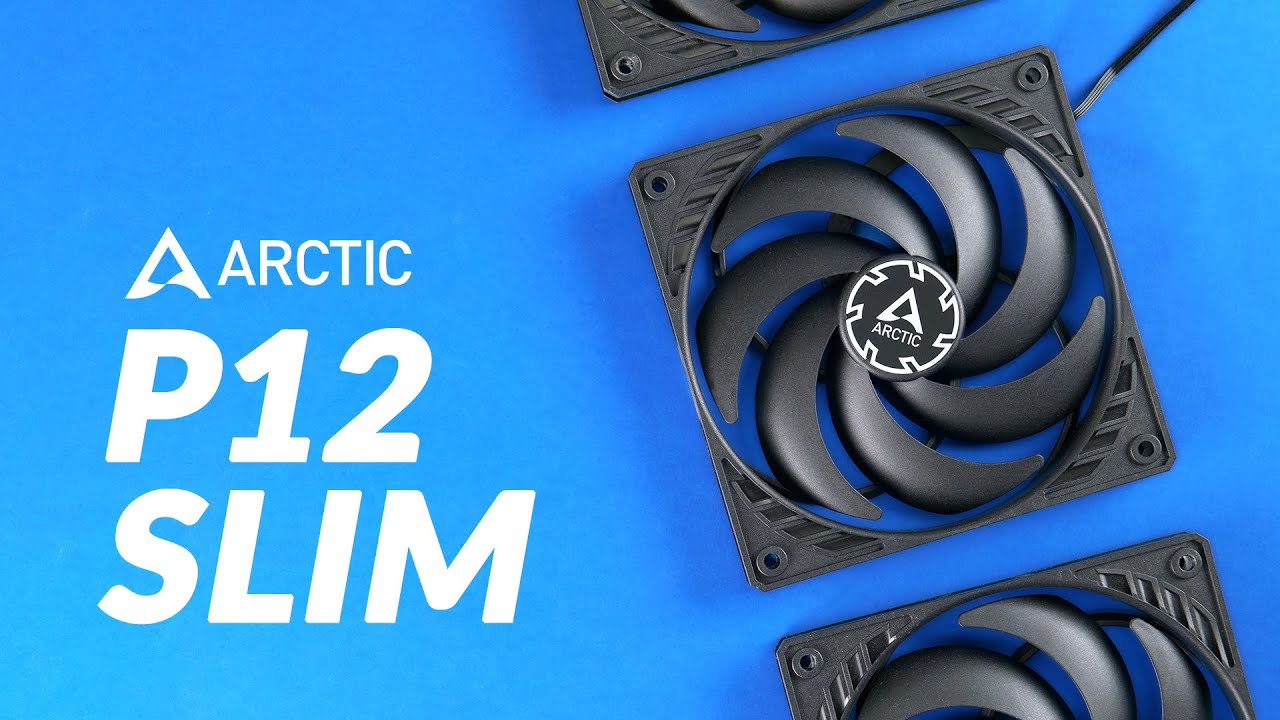 What Happens If You Bodyshame A Fan - Arctic P12 Slim