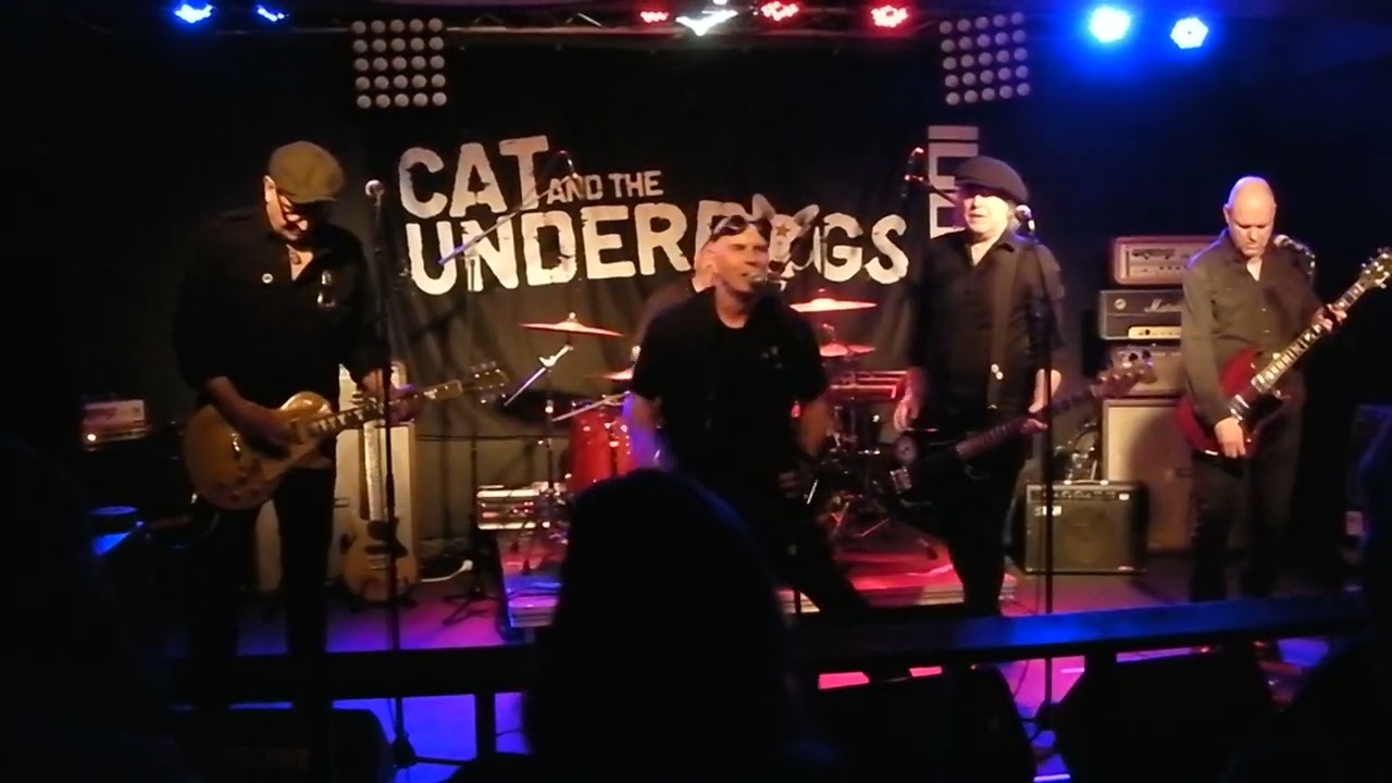 Cats and the Underdogs- Friends  7.3-26 Sundbyberg