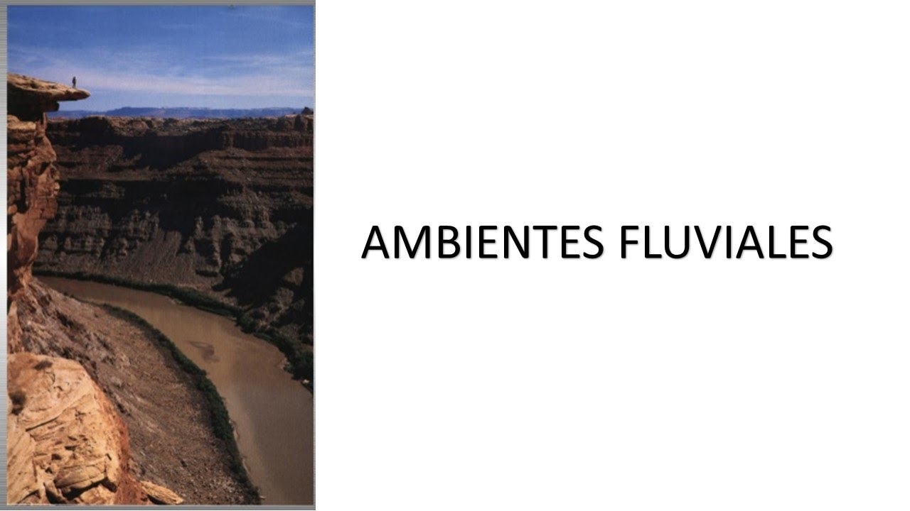 Ambientes fluviales