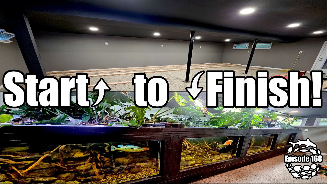 Start to Finish Building a 4500 gallon 33 foot long Xingu River DIY Aquarium in my Basement!
