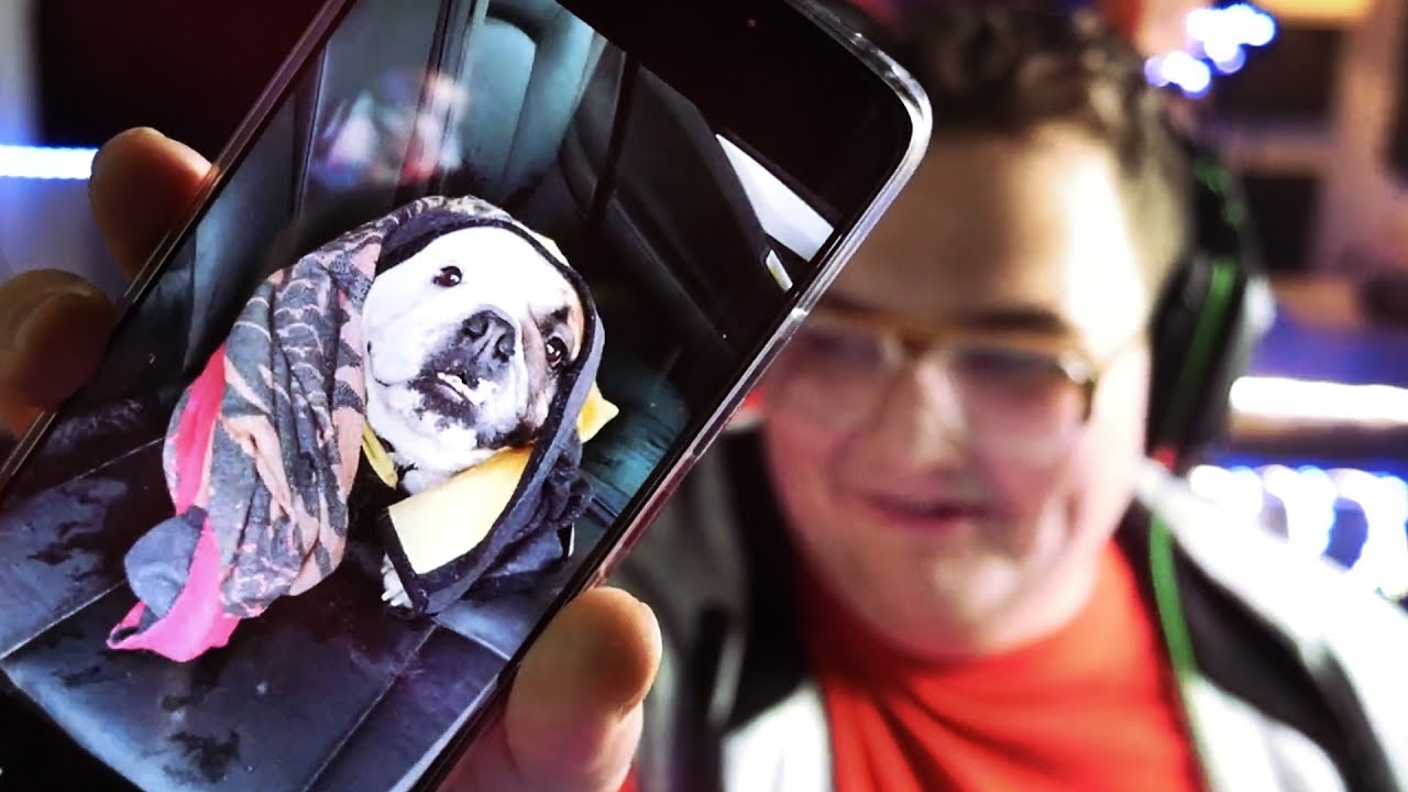 PŘÍBĚH: MŮJ PES SE ZBLÁZNIL!!