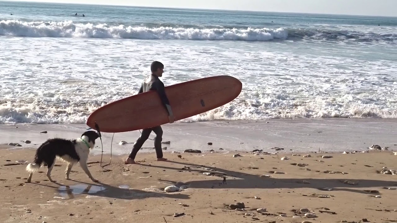 Surf | Île d'Oléron | Mardi 9 Octobre 2018