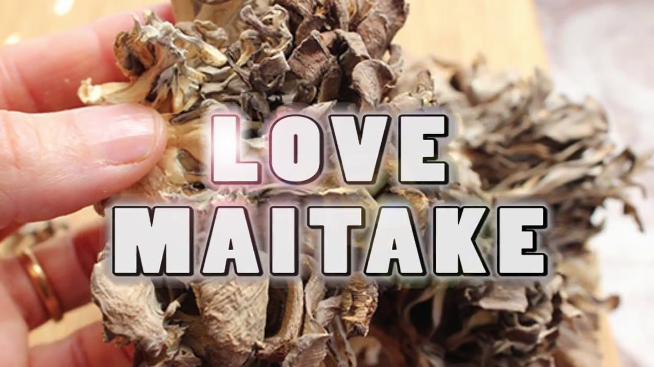 Benefits of Maitake Mushrooms