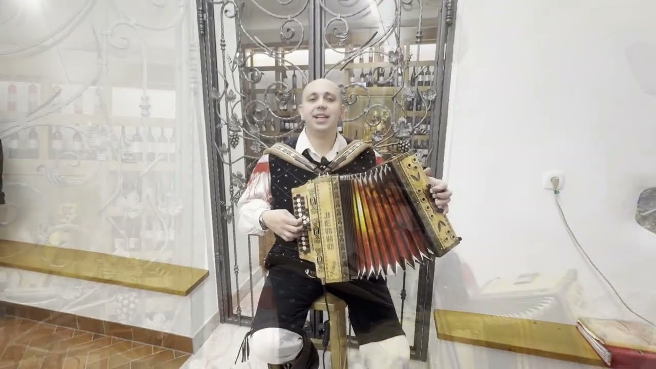 Ale&scaron; Trbanc / Žurmajster - Preljuba moja draga (cover)