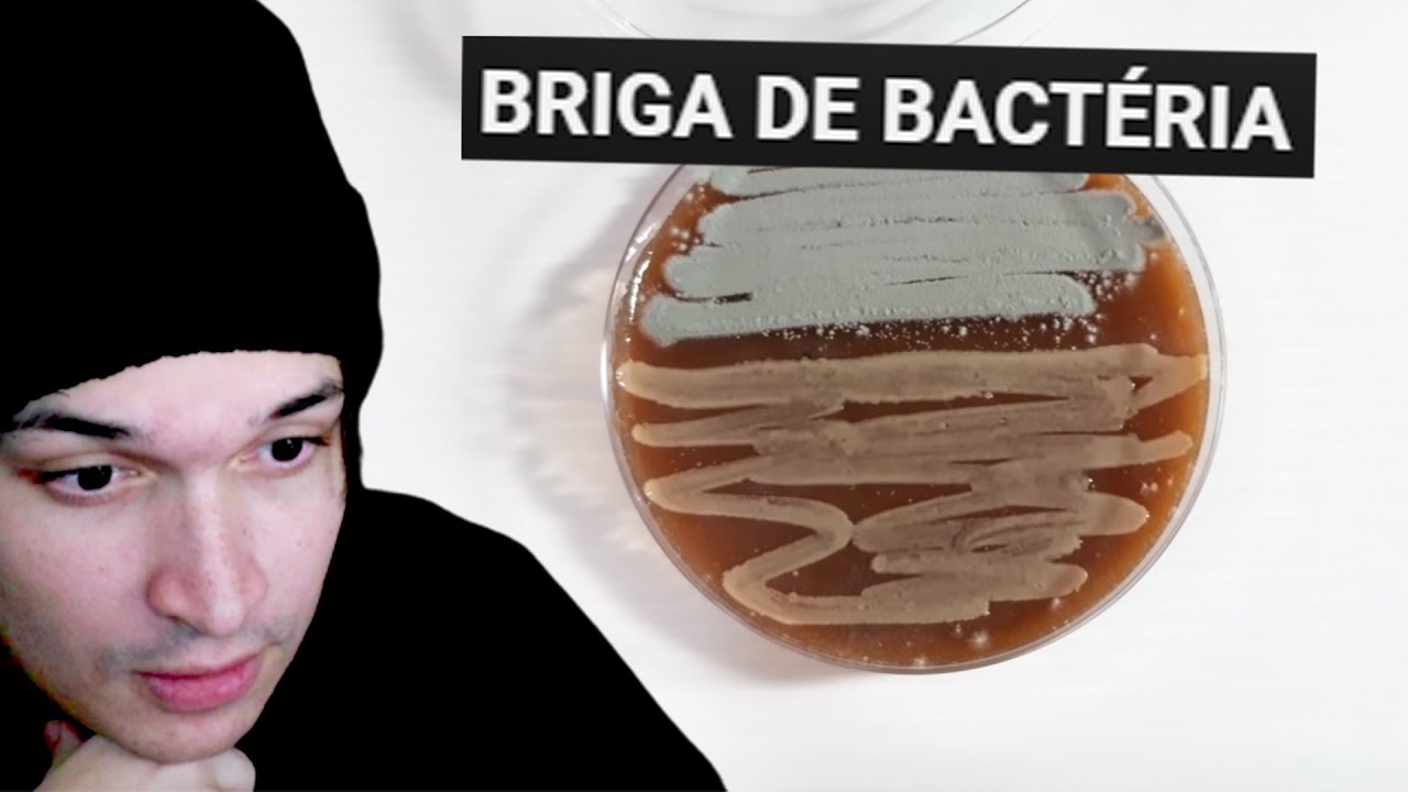 GUERRA DE BACTERIAS