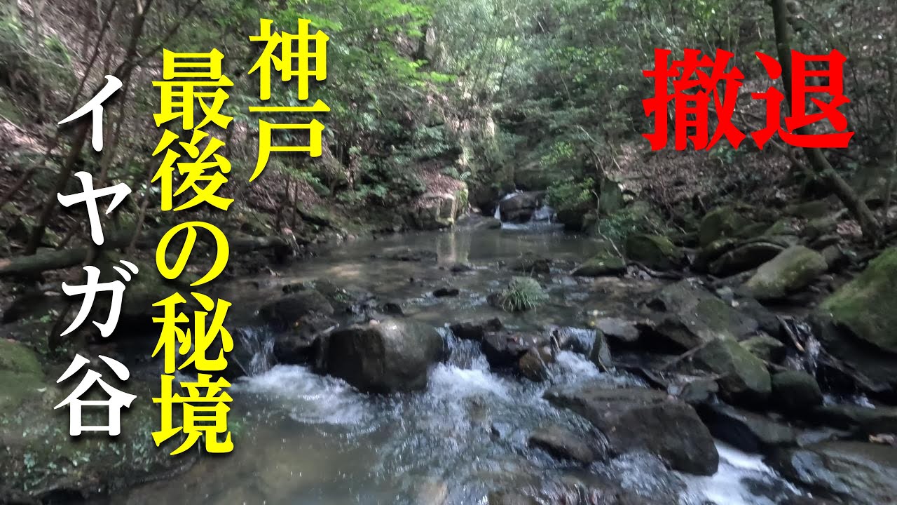 【神戸最後の秘境】イヤガ谷で修験道の痕跡を辿る_20240601