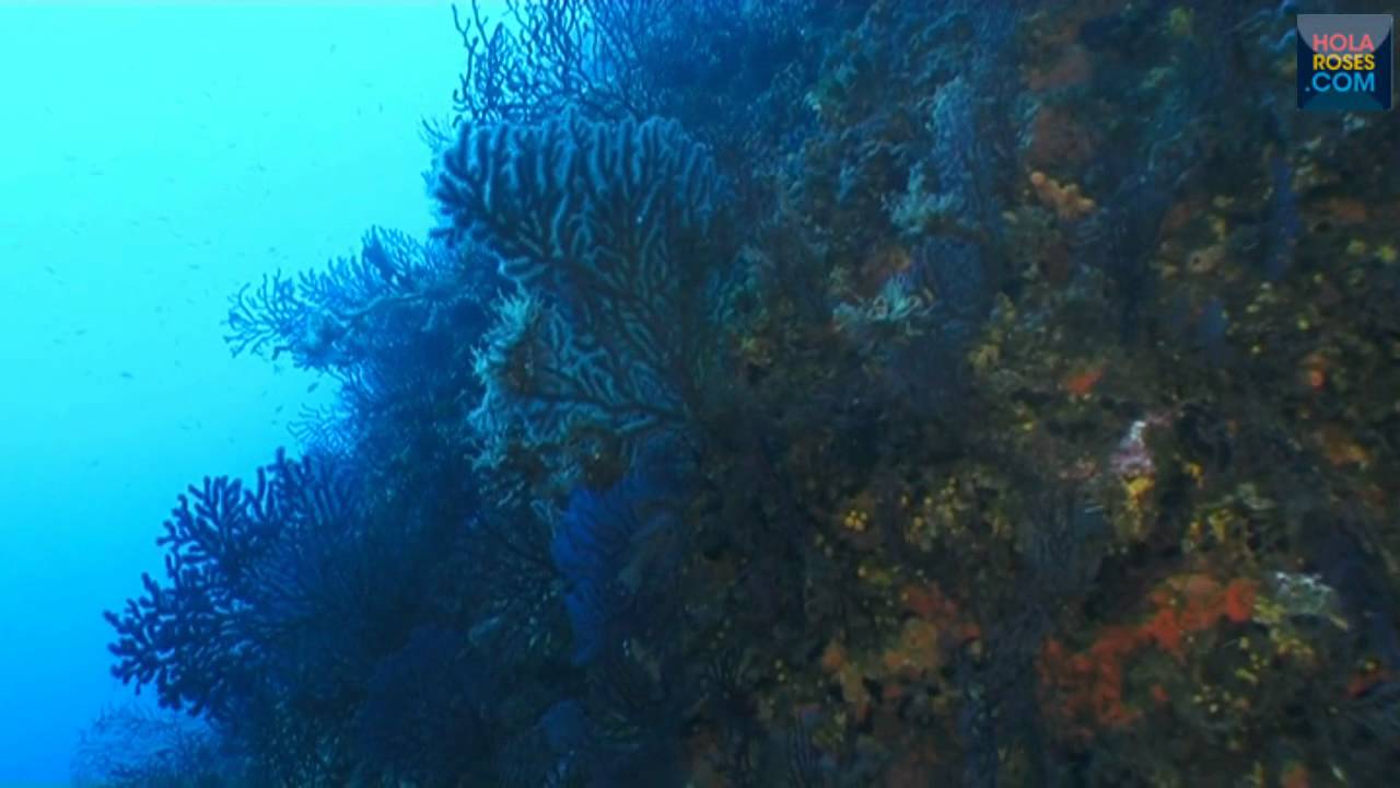 Submarinismo en el Cap de Creus