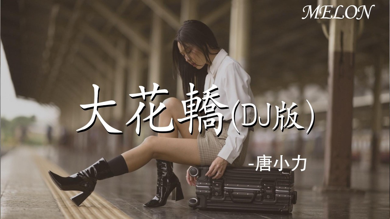 【大花轎(DJ版)-唐小力】｜xiang shui you du( DJ dou yin ban) - hu yang lin