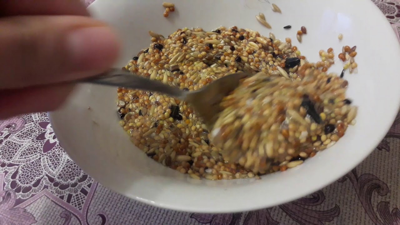 Лакомста для птичек / вкусняшки своими руками для попугаев 🐦