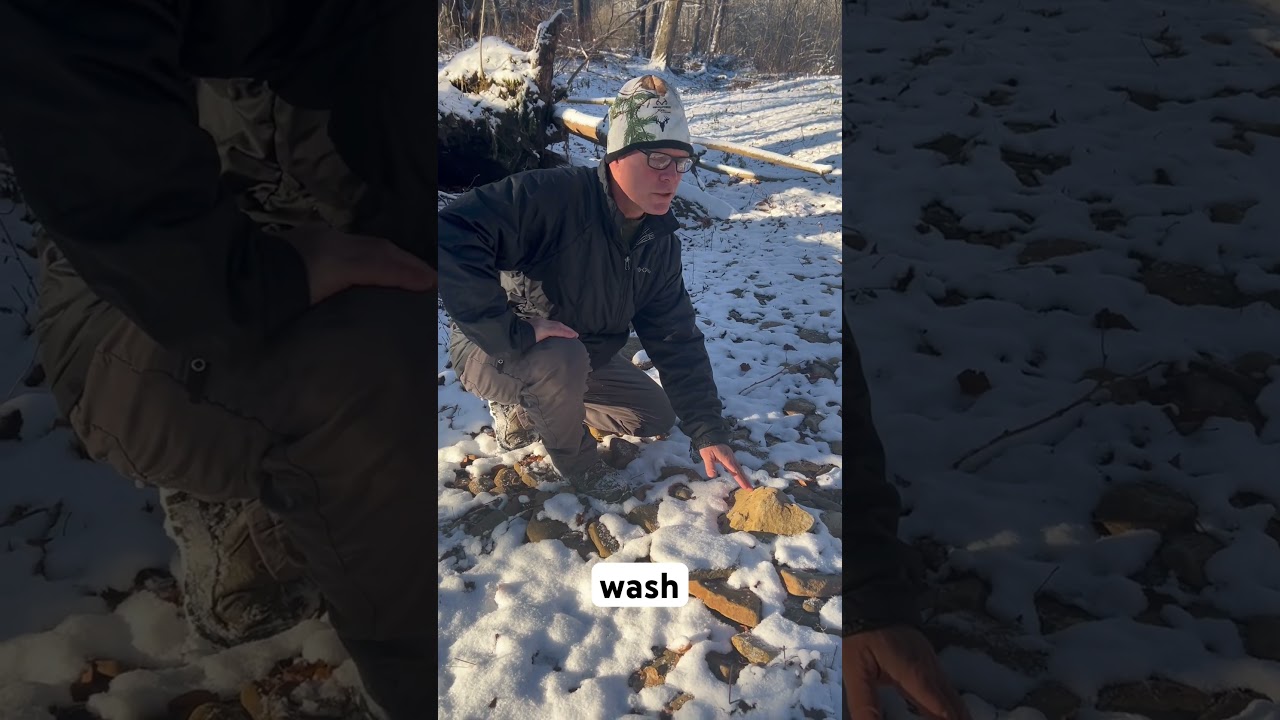 Professional tracker finds elk in the PA wilds