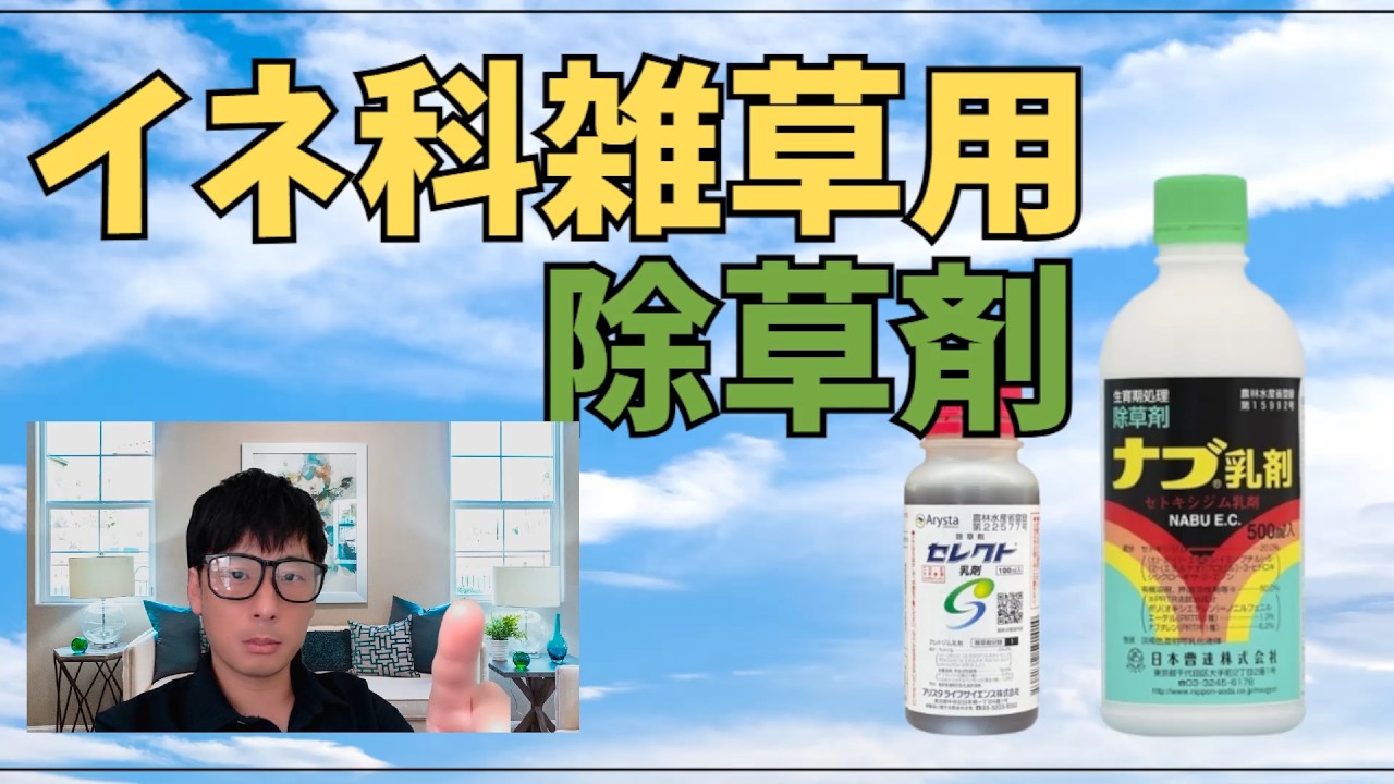 オヒシバ対策にも使われるナブ乳剤とセレクト乳剤について（イネ科雑草対策の除草剤）